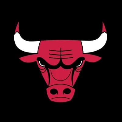 Chicago Bulls